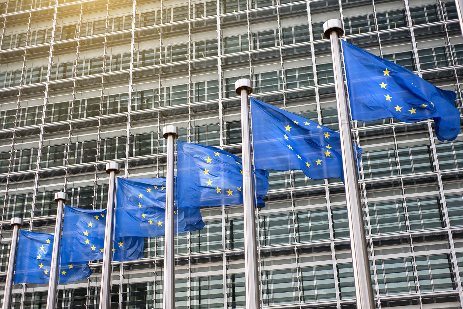Multiple European Union flags, blue with yellow stars, are displayed on flagpoles in front of a modern, glass building. The sunlight creates a gentle, warm glow in the top-left corner of the image.