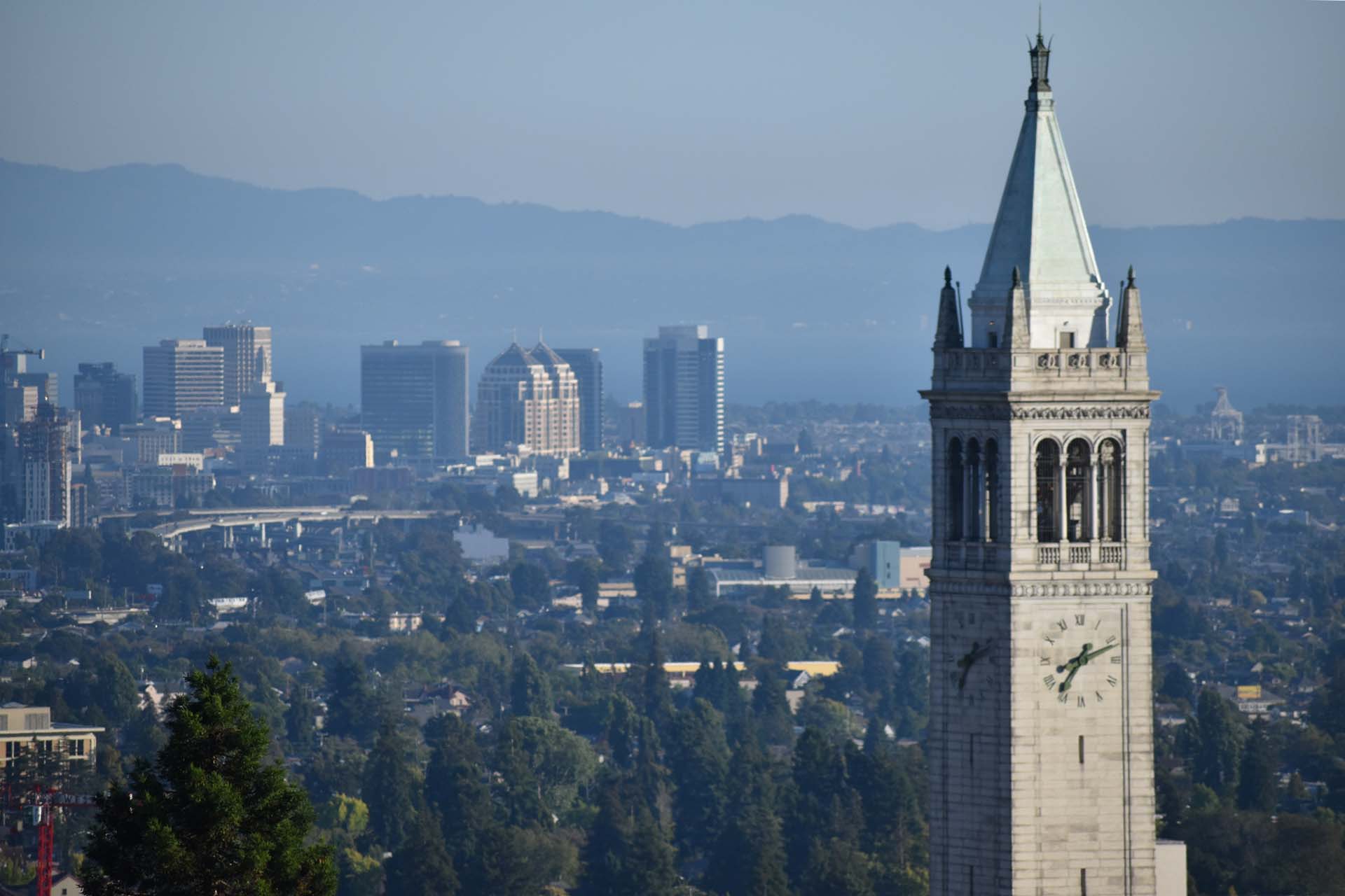 The image shows the tall, pointed clock tower of the University of California, Berkeley set against a backdrop of a sprawling urban skyline with various modern buildings and distant mountains under a clear, blue sky. Trees are visible in the foreground.